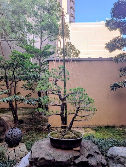 作品集・葉月園